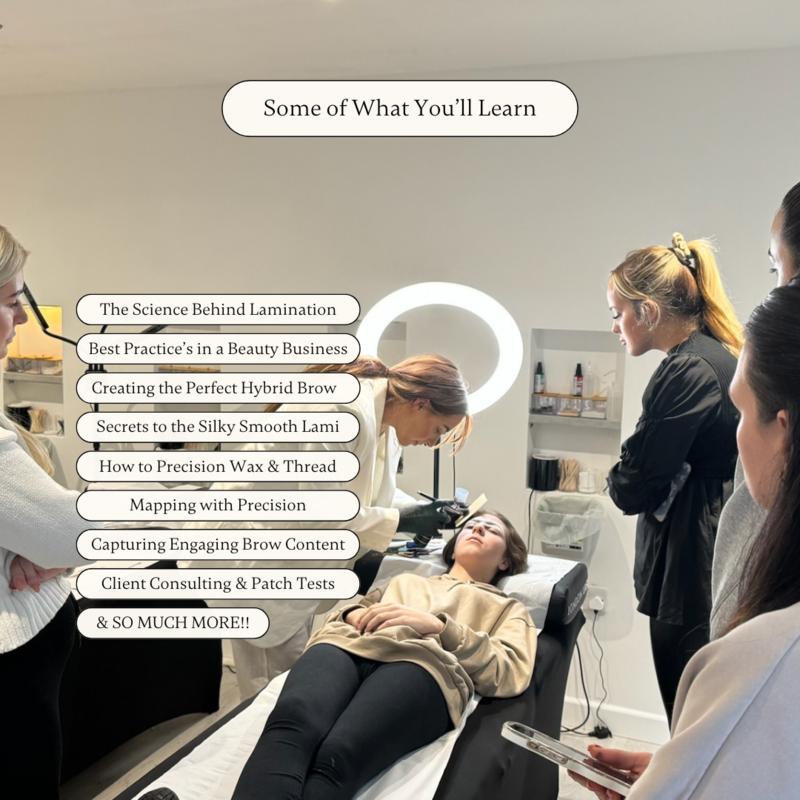hybrid lami course (2)