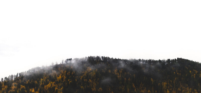 0N3A0510 1