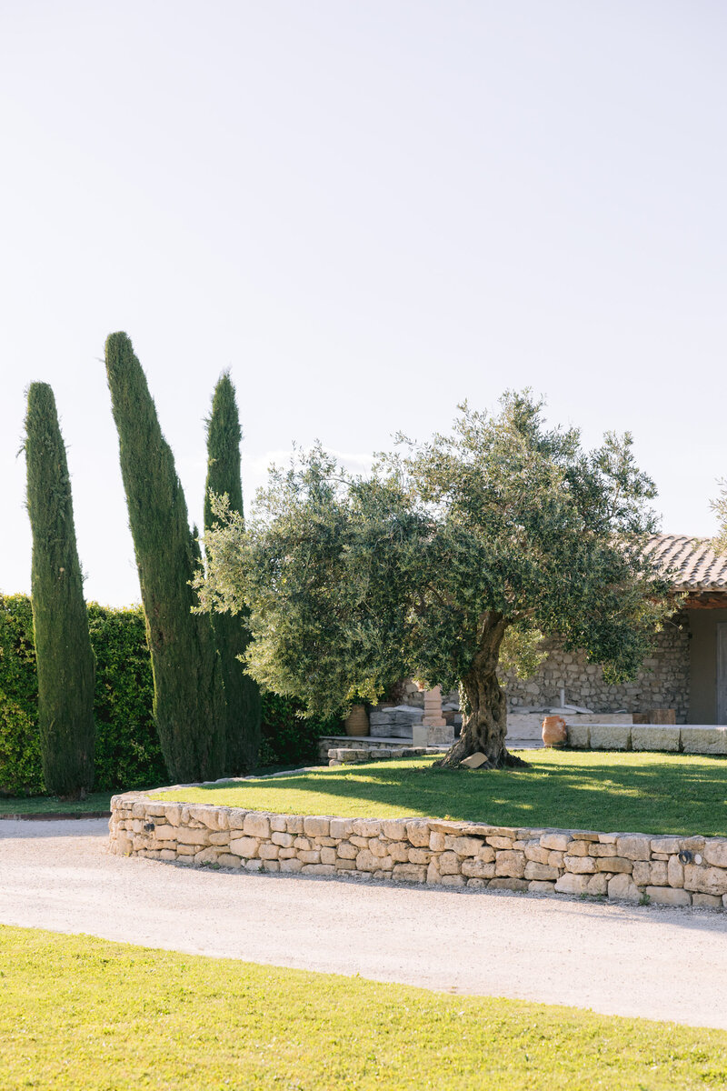 Photographe mariage domaine de sarson grignan victoria le petit-059