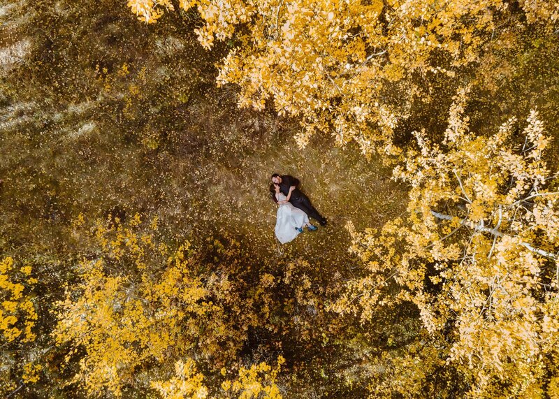 drone shot of a couple laying in an aspen grove in the fall during their colorado elopement photographer and videographer alpine vows
