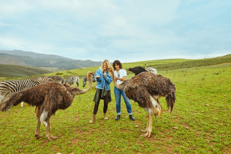 lesbian couple ostriches