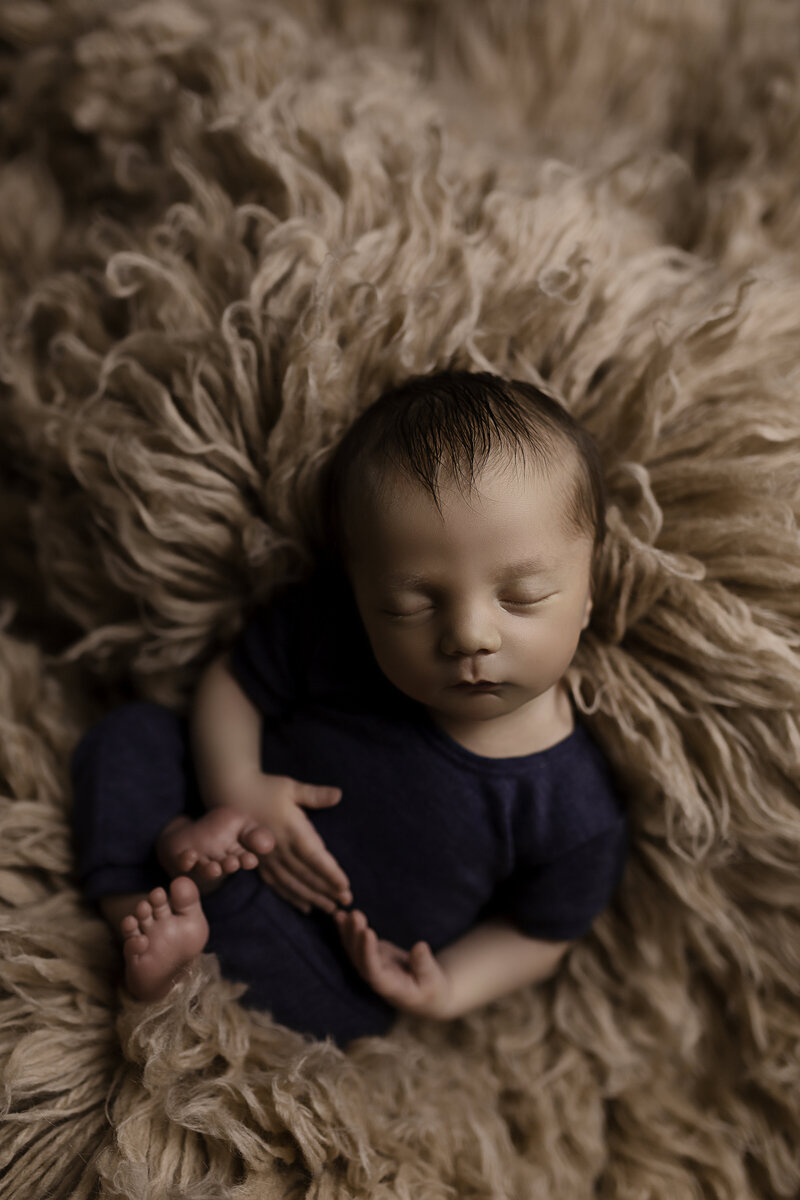 georgetown texas newborn photographer
