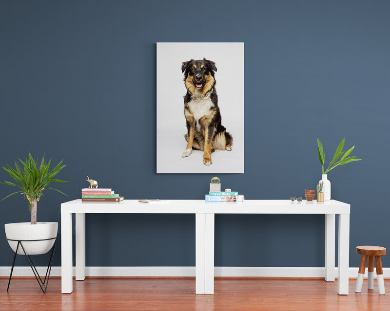 hallwayWithaDogPicture