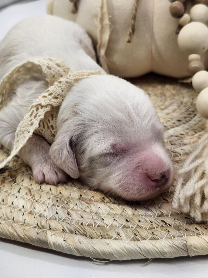 33ea9fdf-55e3-470b-b2c9-044ae8a109e2