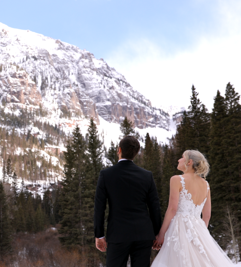 Tellurode MTN