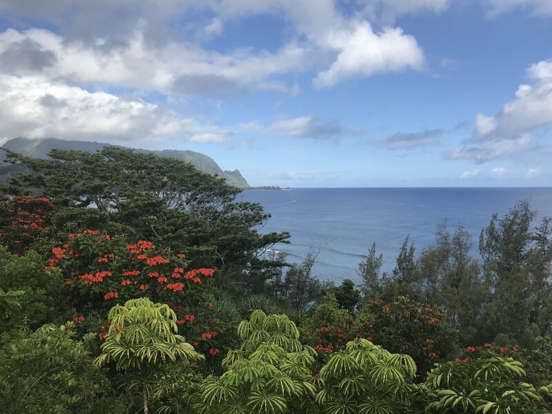 A colorful landscape photo of Kaui Hawaii
