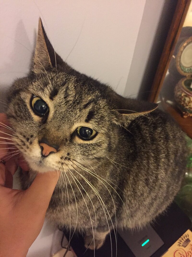 vader-wide-eyes