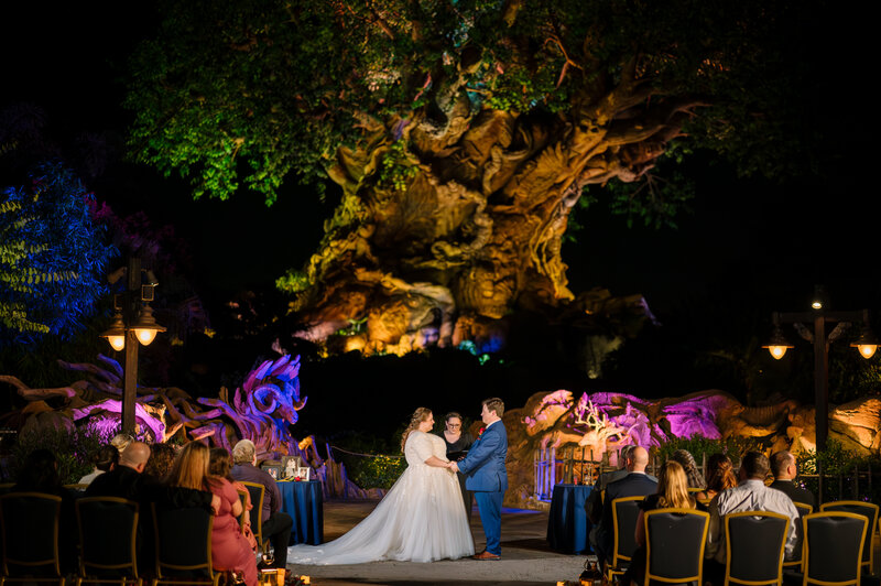 A wedding in front of the Tree of Life in Disneys Animal Kingdom Theme Park