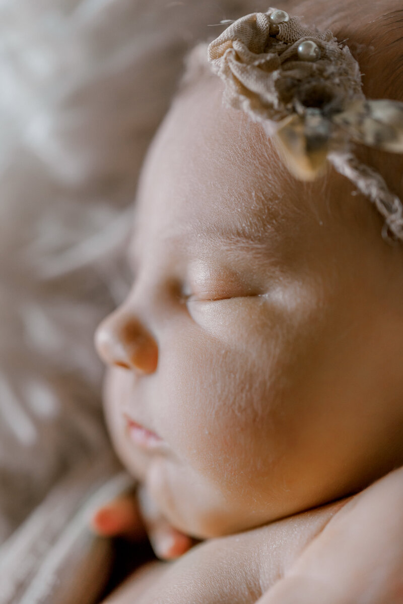 baby photographers in traverse city