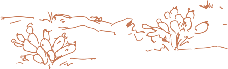 line drawing of desert terrain