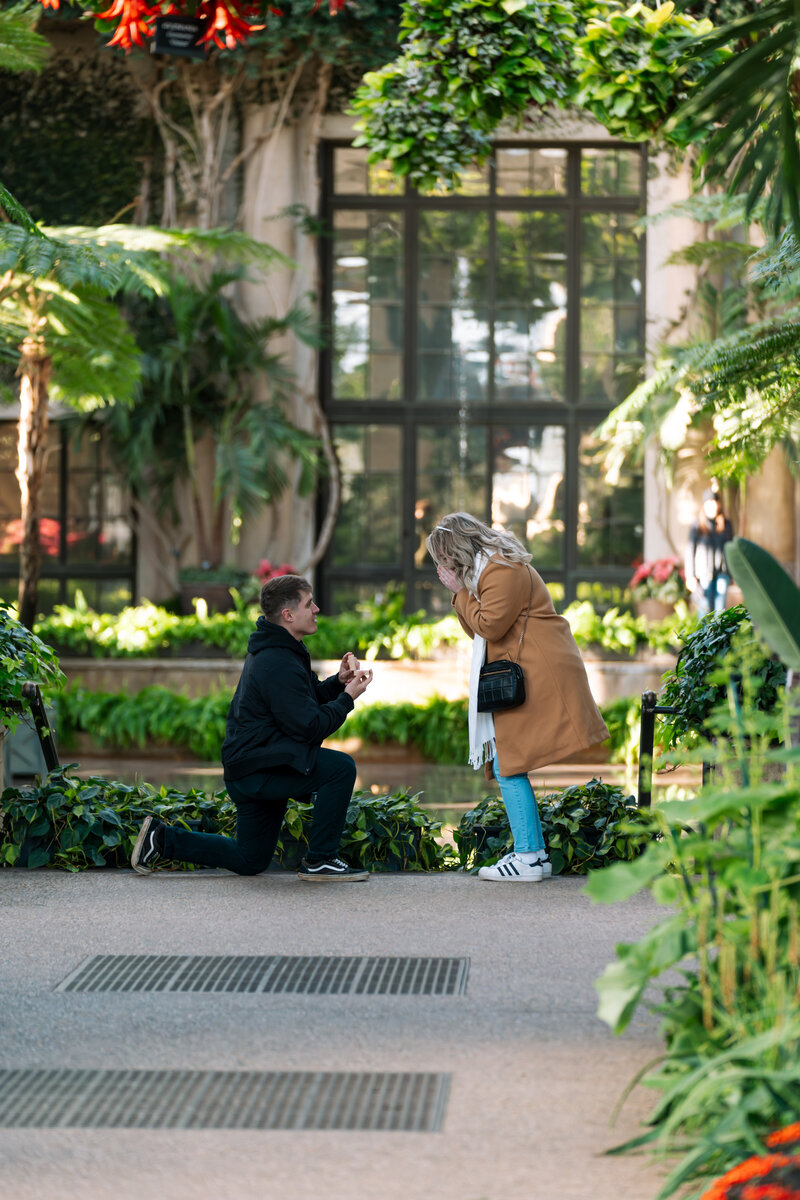 LongwoodGardensProposalM+A-90