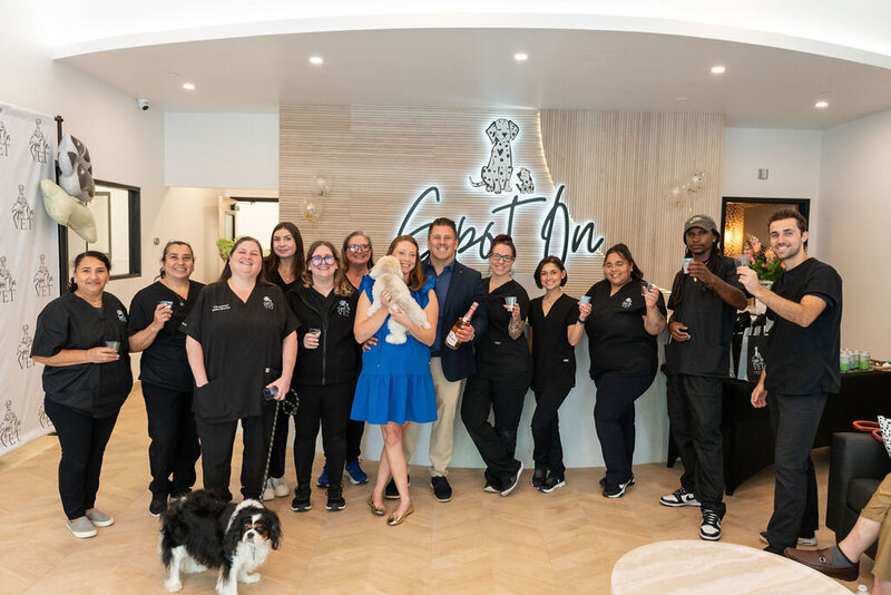 Vet & Pet Hotel Jobs in Westport & Stamford CT