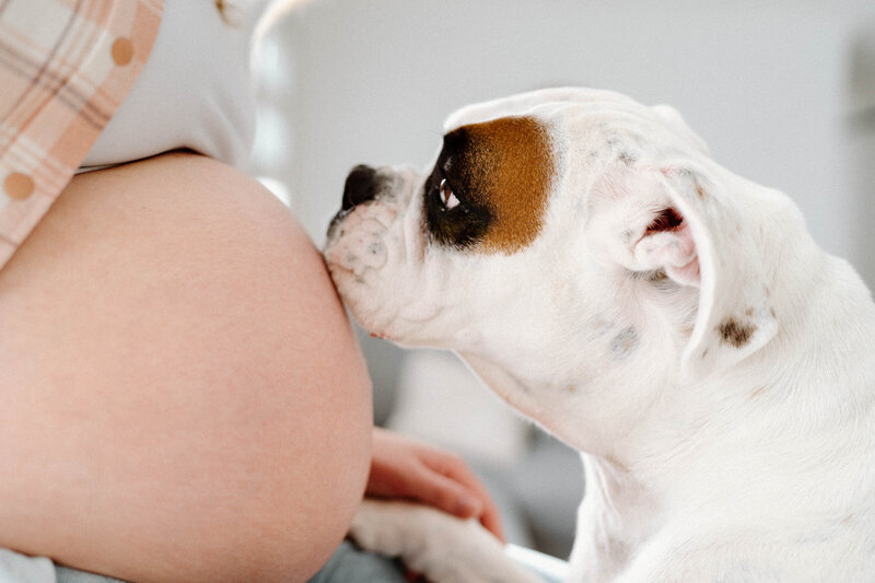 Bec and Jack - Home Maternity Shoot - Sweet Valencia Photography-61