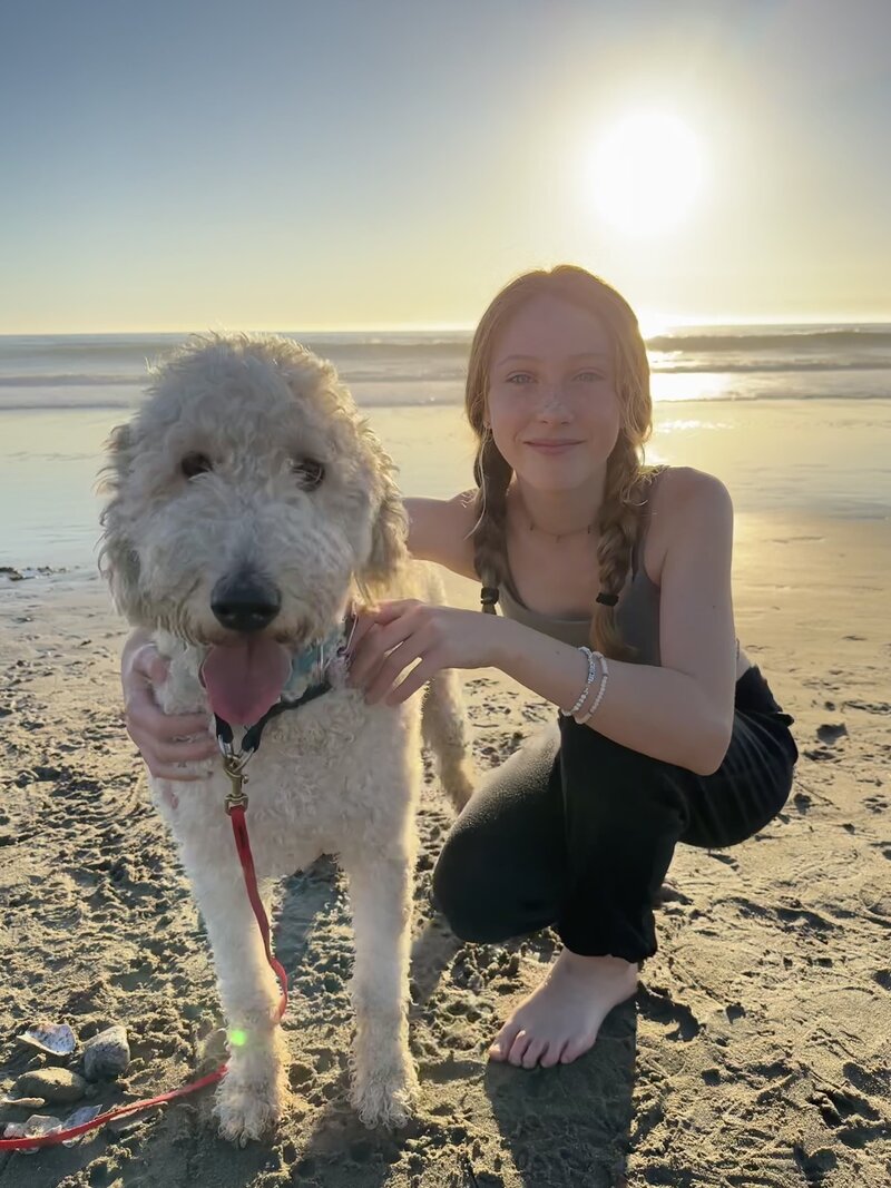 Cream goldendoodle with a woman in a car.