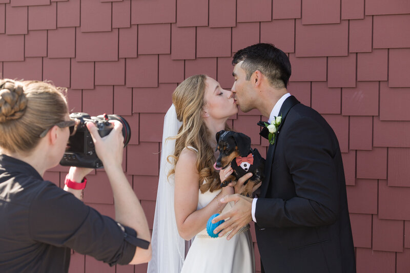 Photographer snapping a sweet moment with the bride, groom, and their dog at Blue Mountain Resort.