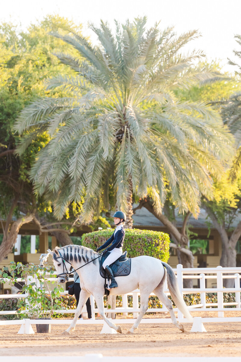Rider and horse photographed for equestrian marketing campaign.