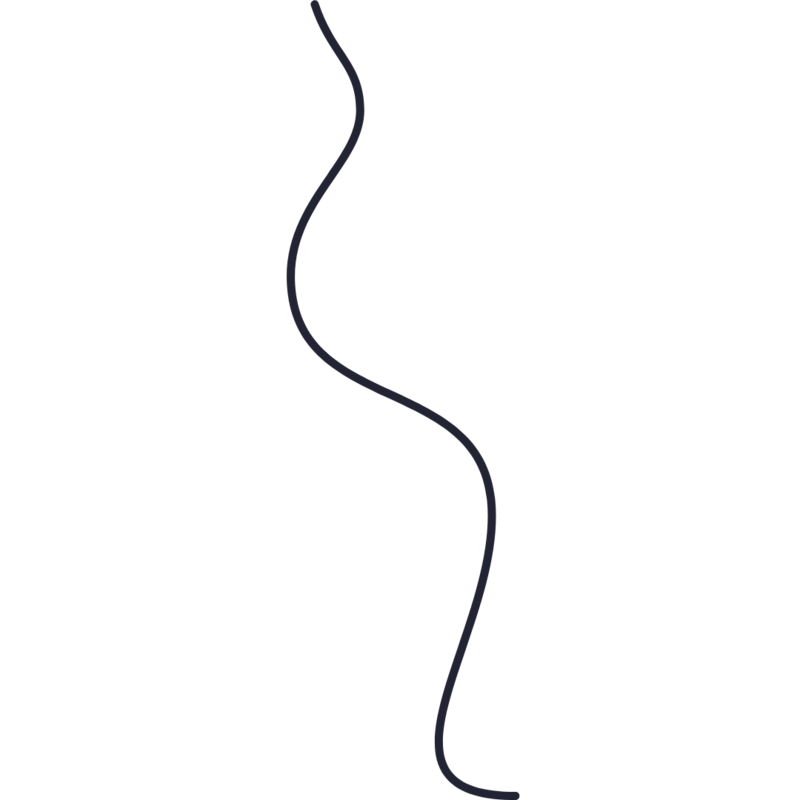 Curved black rope line element used as a divider in Lasso Digital Studio’s western-inspired website design


