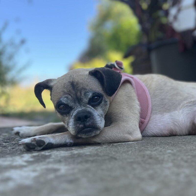 Coco (4)
