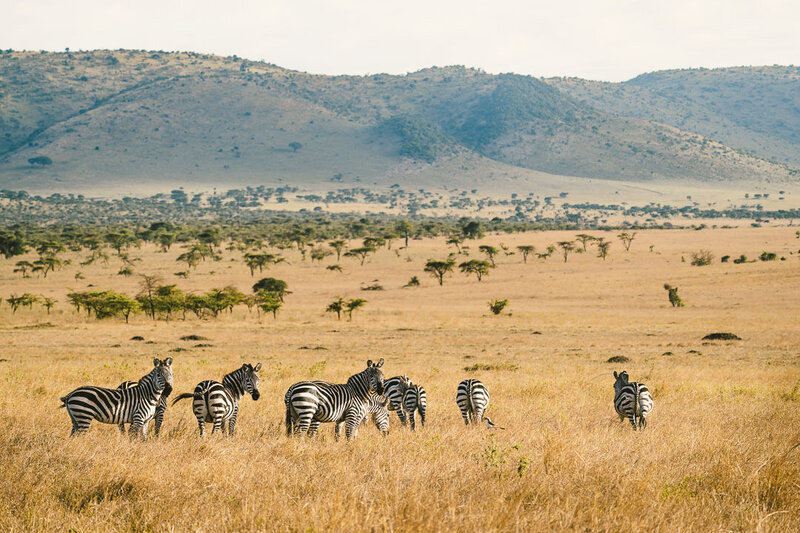 Serengeti Safari Tanzania (19)