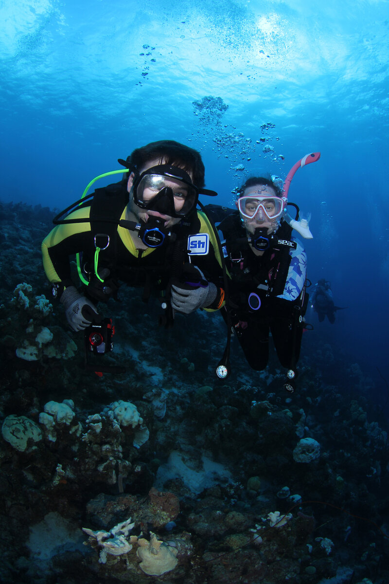 business coach for women scuba diving with hubby
