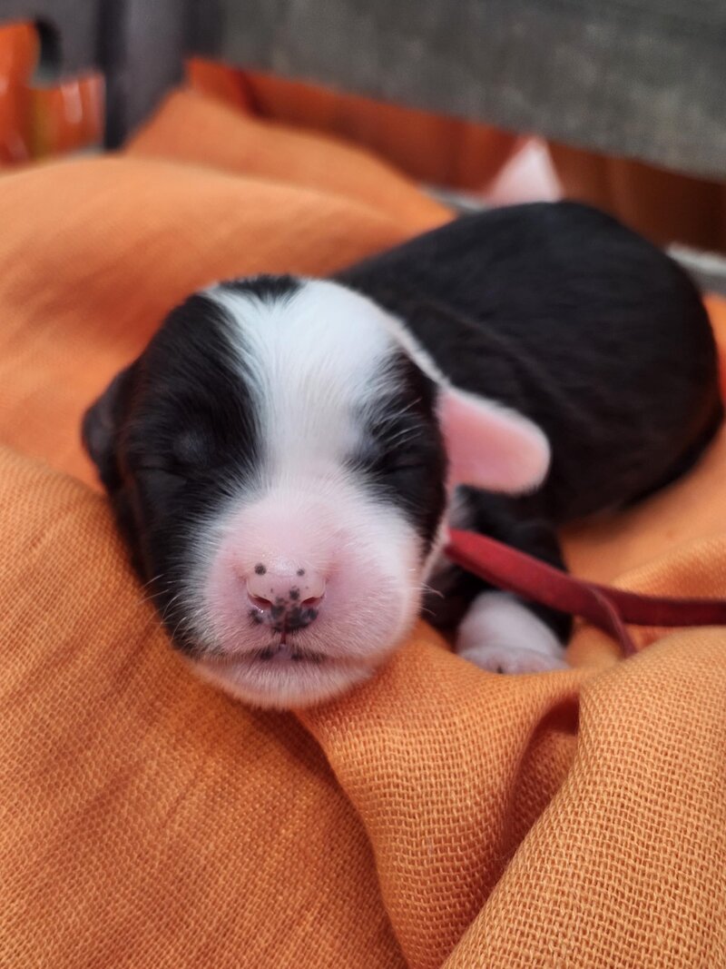 7235a7c8-6a9f-4ec8-8b13-5a922f4ca810