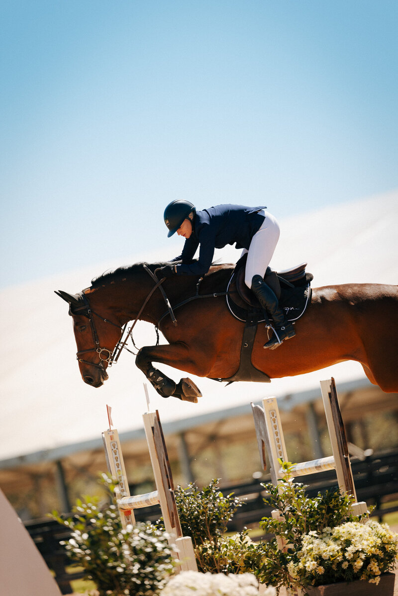 Wedding Photographer Engagement Session, Wedding Photographer, Equine Photographer, Photographer, Sacramento Photographer, Travel Photographer 