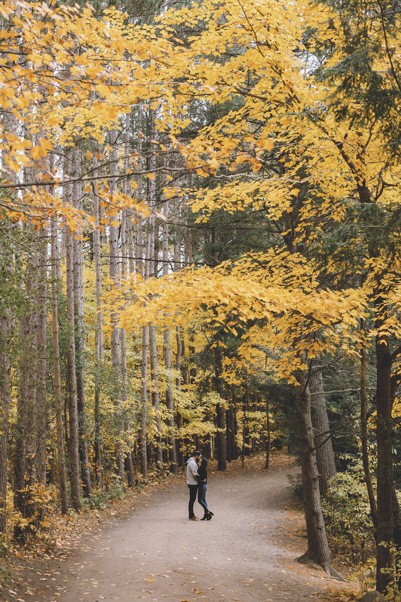 resizedtorontoengagementphotographer_2
