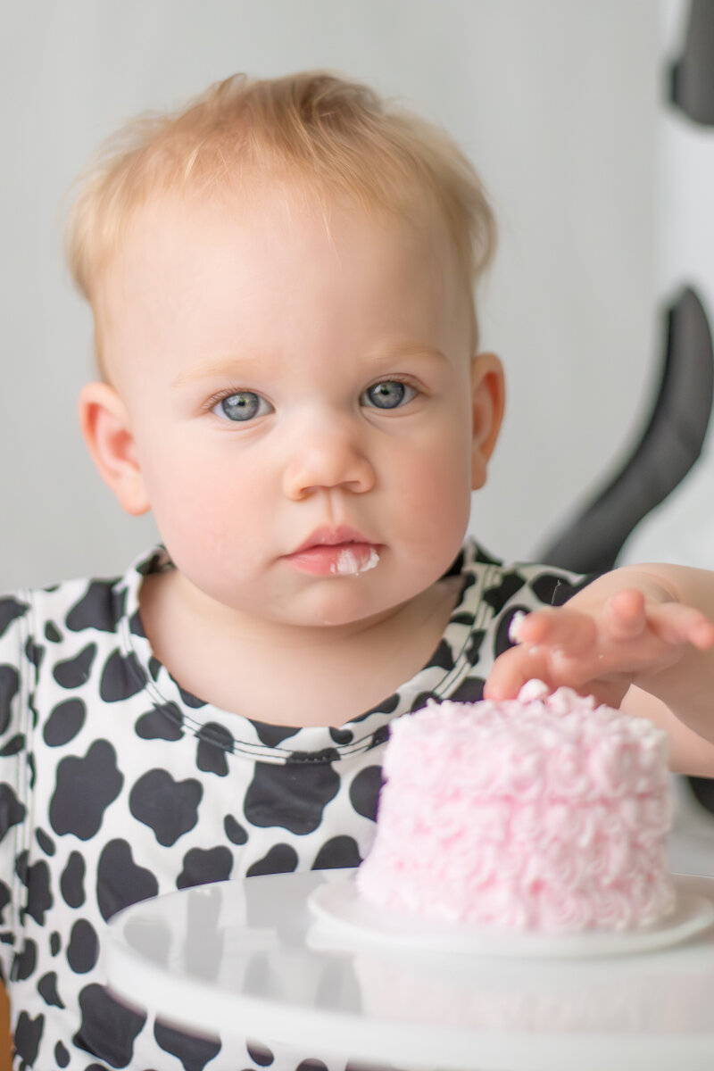 baby milestone photography akron ohio
