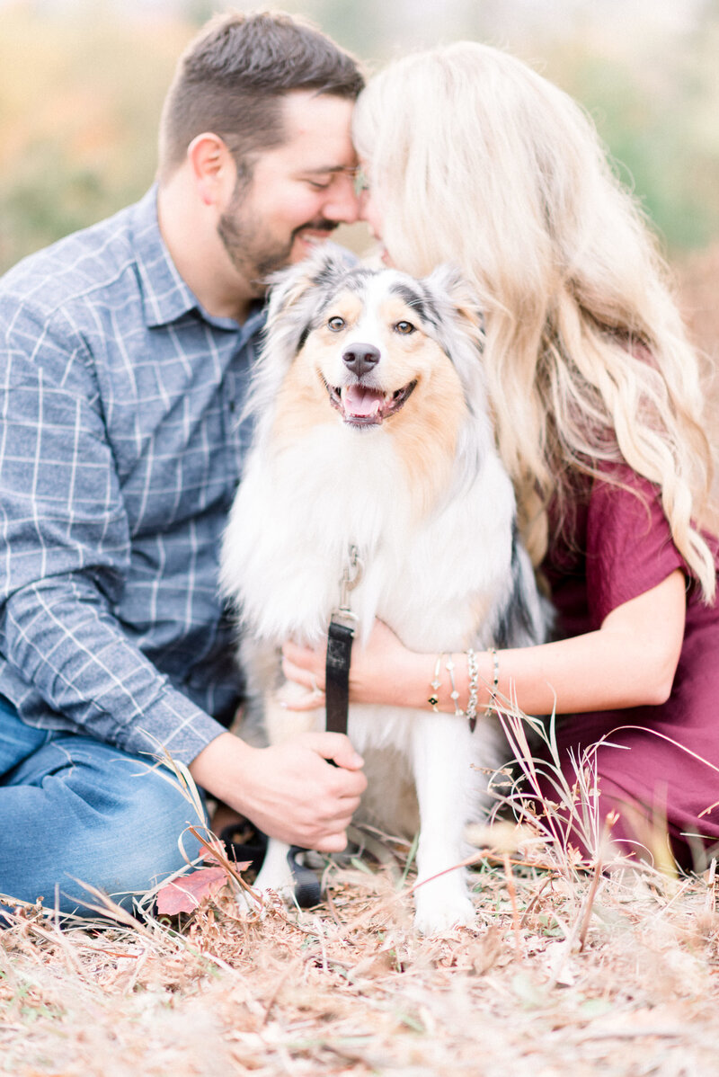 engagement photos in traverse city michigan