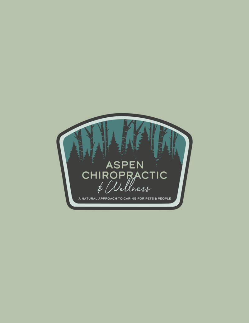aspen-2022-shirt-presentation-V2-badge-08