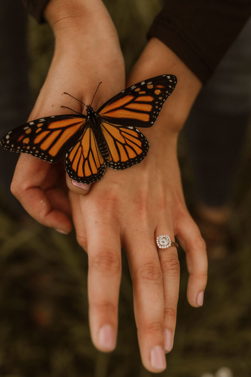 wedding-and-portrait-photographer-upstate-new-york-courtney-stannard-130
