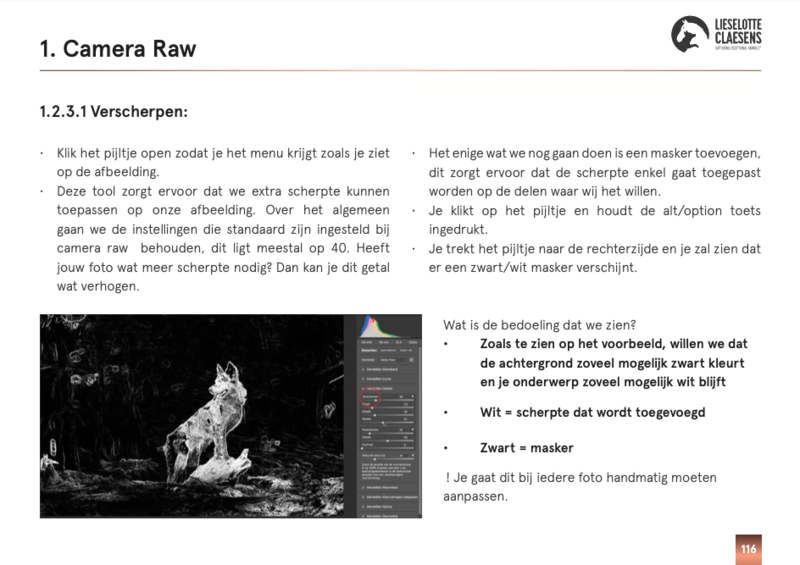 Scherm­afbeelding 2025-03-24 om 17.23.49
