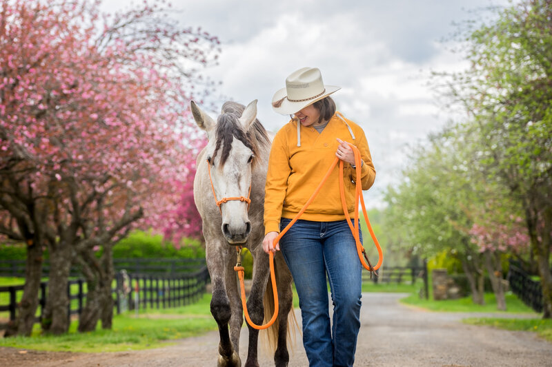 Equestrian-252