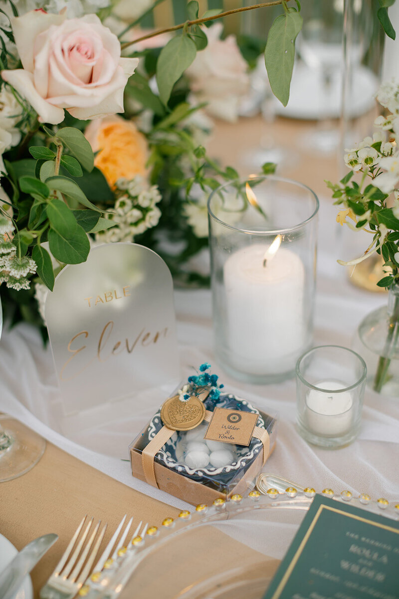 roula and wilder 09152024_erica streelman photographer-837