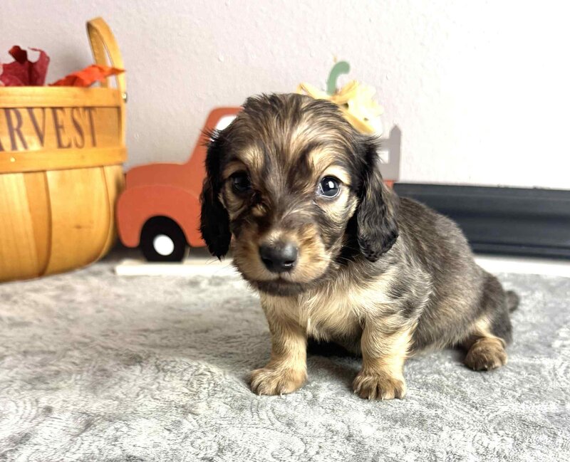 de48138d-cf80-4854-8a72-ce90acc8d23a