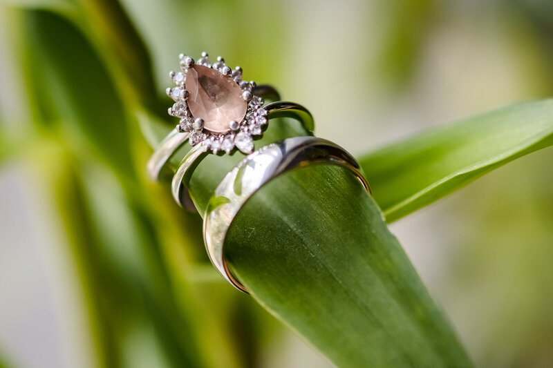 wedding rings on a plant leaf
