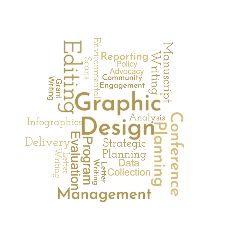 Word cloud of the activity/purpose of the grants
