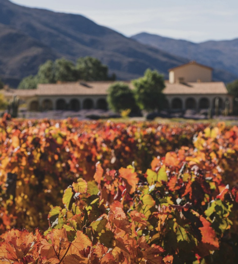 10-days-Argentina-Food-and0-Wine-itinerary-15