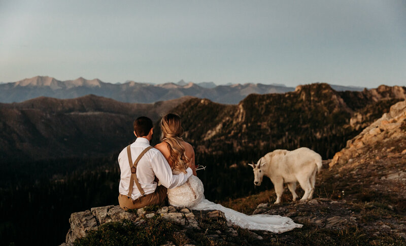 couple sitting on mountain with goat in glacier national park having an adventurous elopement