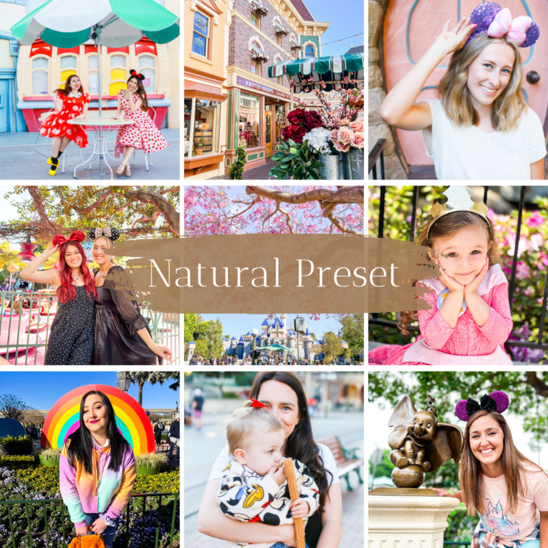 disneyland photo presets for lightroom