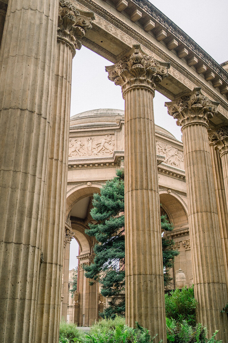 Iconic Architecture at the Palace of Fine Arts in San Francisco, California Wedding Venue