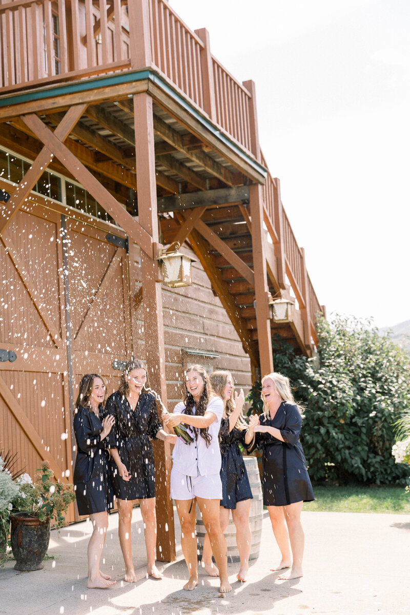 wedding in bozeman montana using the veil for the portrait