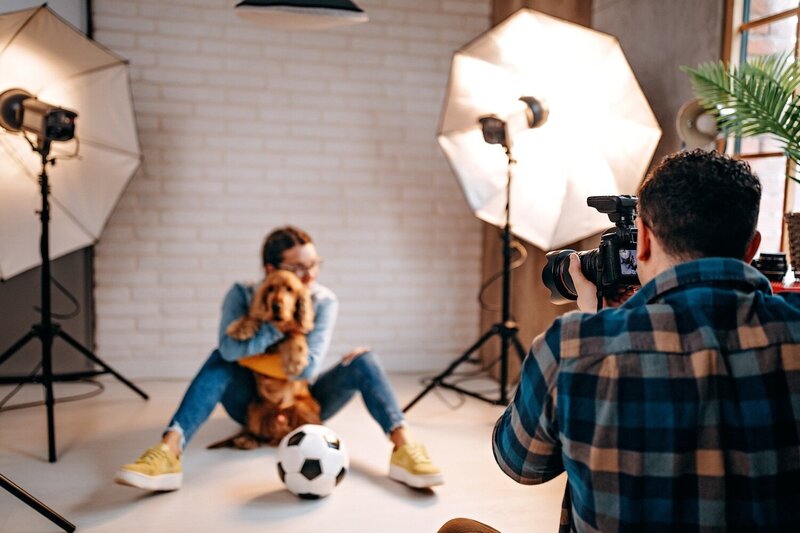A dog posing during a professional pet photography studio session