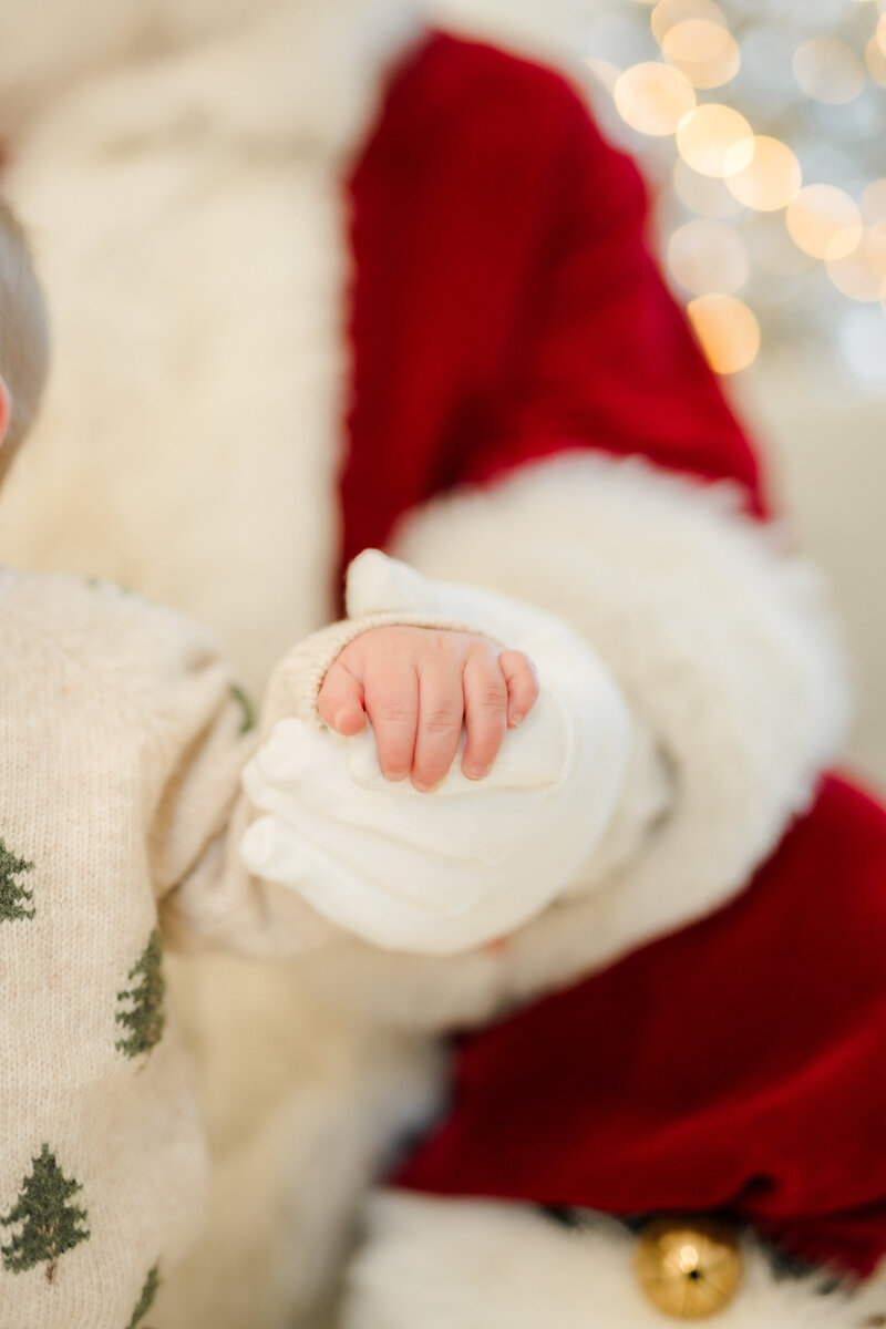 santa preview-22