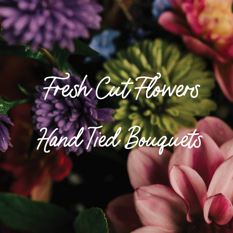 UNROOTED BLOOMS - ABBOTSFORD GRAPHIC DESIGNER MEGAN ASHLEY CREATIVE