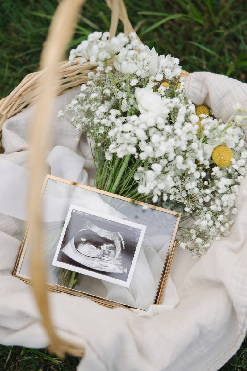 EmilyMcCaffertyPhotography_StefanieMaternity-1