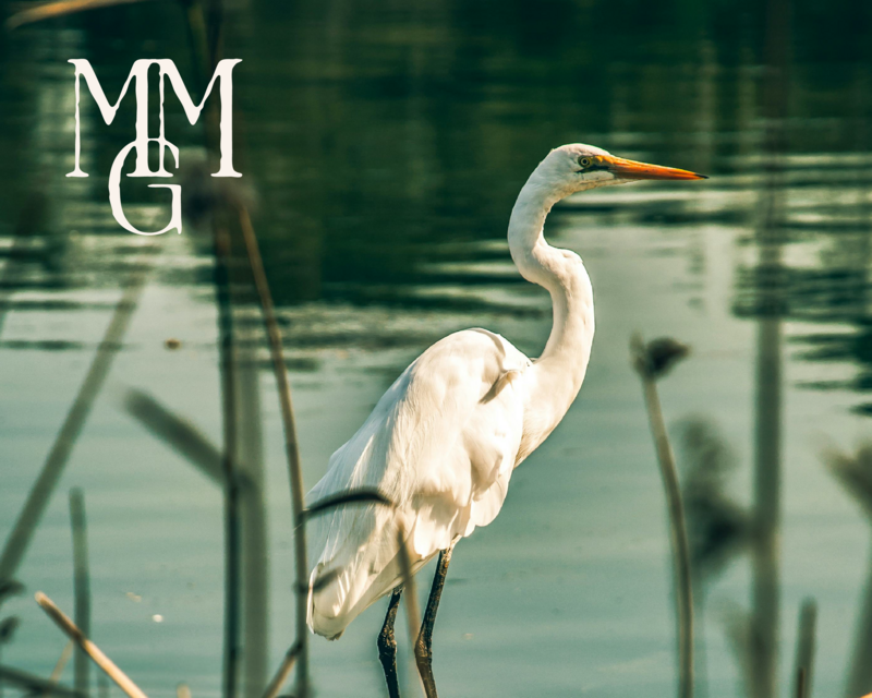 MMG_WebsitePortfolio-05