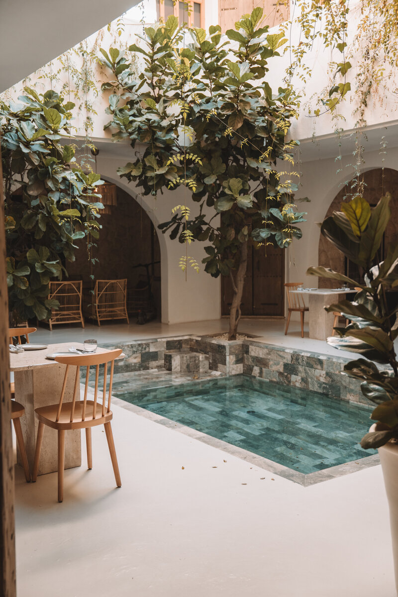 Marrakesh25-2-17