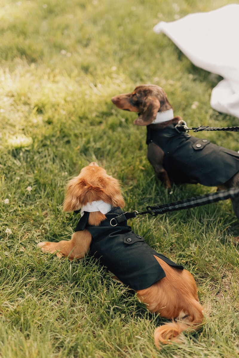 Photography by Deanna Michele-2-23