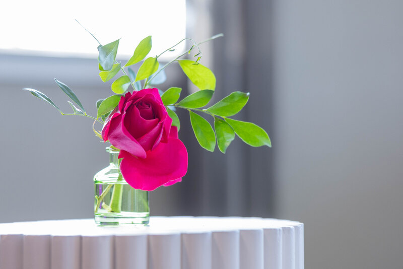 Bright pink flower with green leaves sitting on a table at an event in DC
